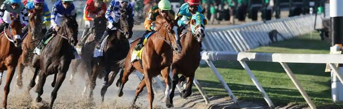 Horse Racing at Tampa Bay Downs - Chef prepared buffet - Round Trip Transportation