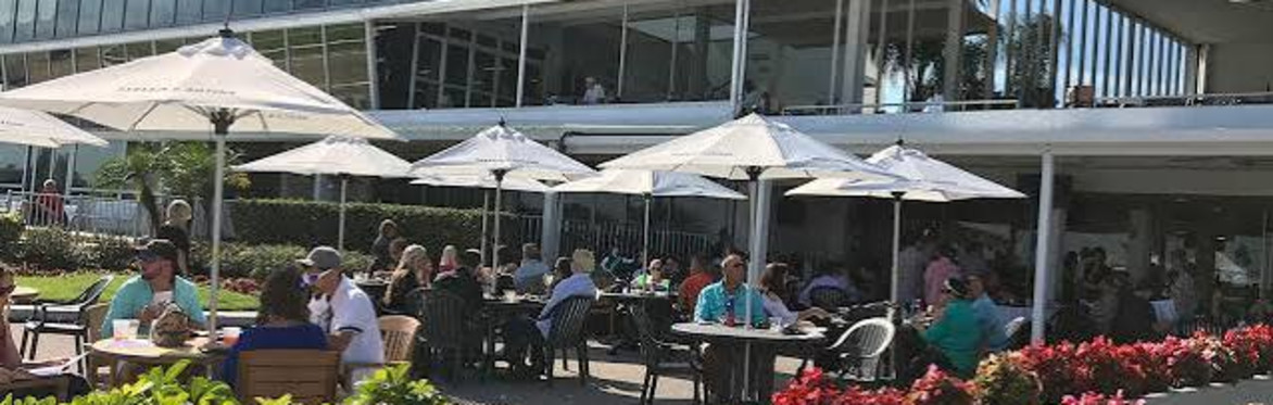 Horse Racing at Tampa Bay Downs - Chef prepared buffet - Round Trip Transportation