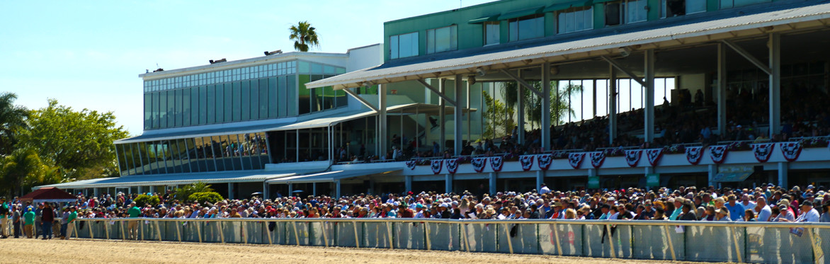 Horse Racing at Tampa Bay Downs - Chef prepared buffet - Round Trip Transportation
