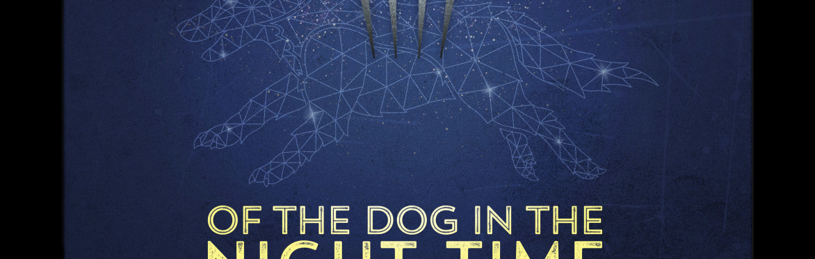 The Curious Incident of the Dog in the Night-Time