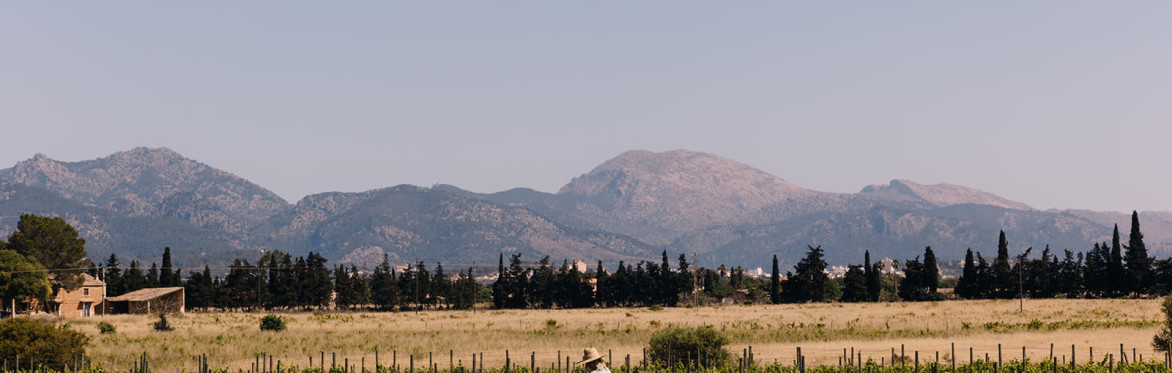 A New Vintage: Summer Dinner with Ember Mallorca