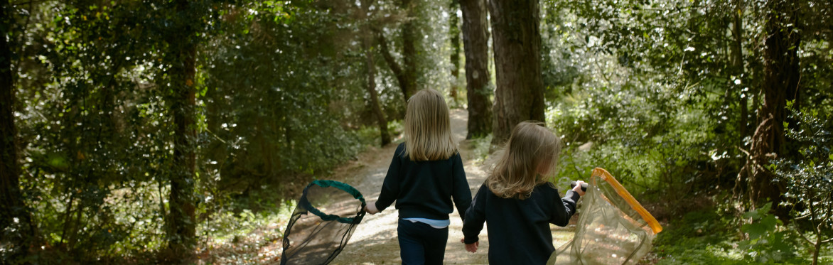 Primary School Woodland Day at Glenveagh National Park