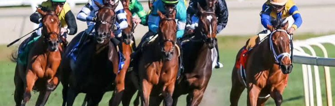 Horse Racing at Tampa Bay Downs - Chef prepared buffet - Round Trip Transportation