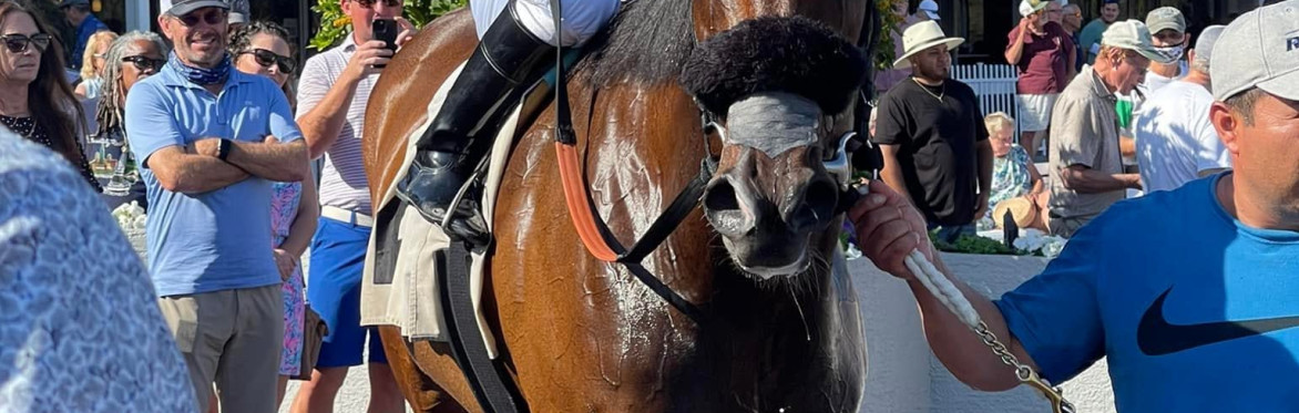 Horse Racing at Tampa Bay Downs - Chef prepared buffet - Round Trip Transportation