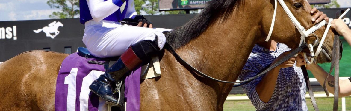 Horse Racing at Tampa Bay Downs - Chef prepared buffet - Round Trip Transportation
