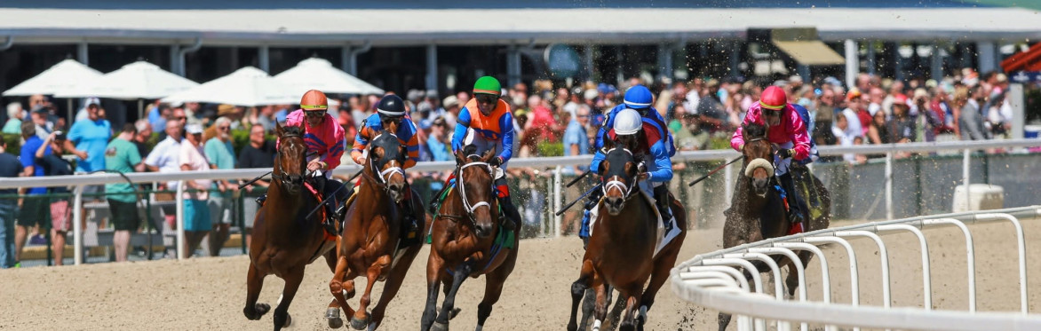 Horse Racing at Tampa Bay Downs - Chef prepared buffet - Round Trip Transportation