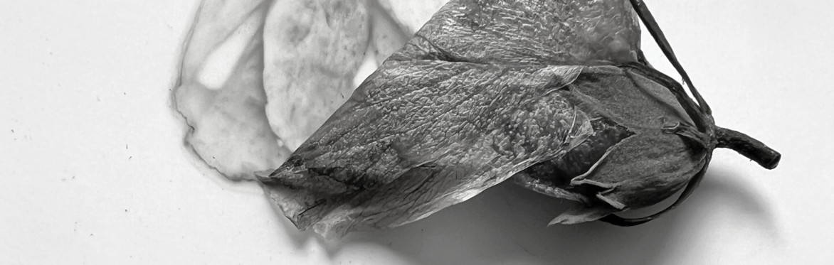 Exhibition: Touch Me Not