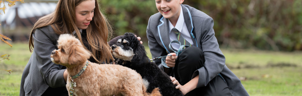 The Hart School Open Evening