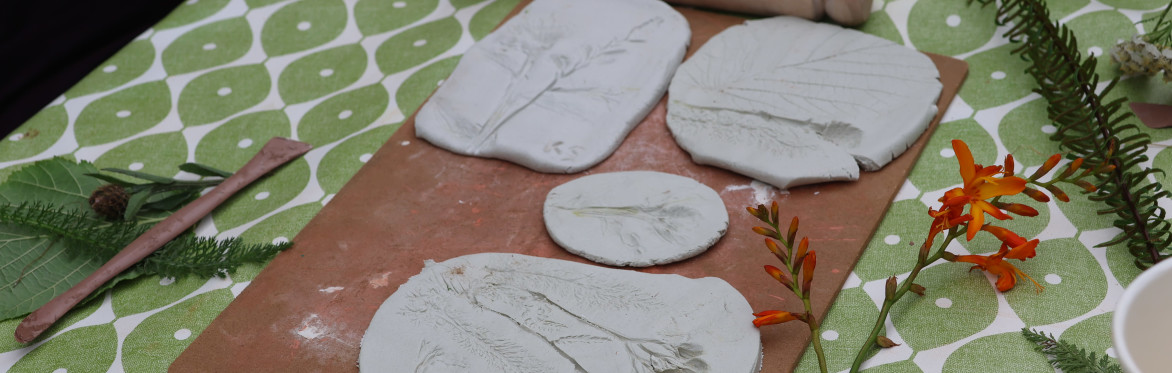Primary School Nature Art Day at Glenveagh National Park