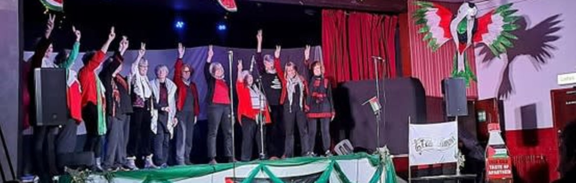 A group of several hundred singers with Palestine flags at the Big Sing in Meersbrook Park in the summer