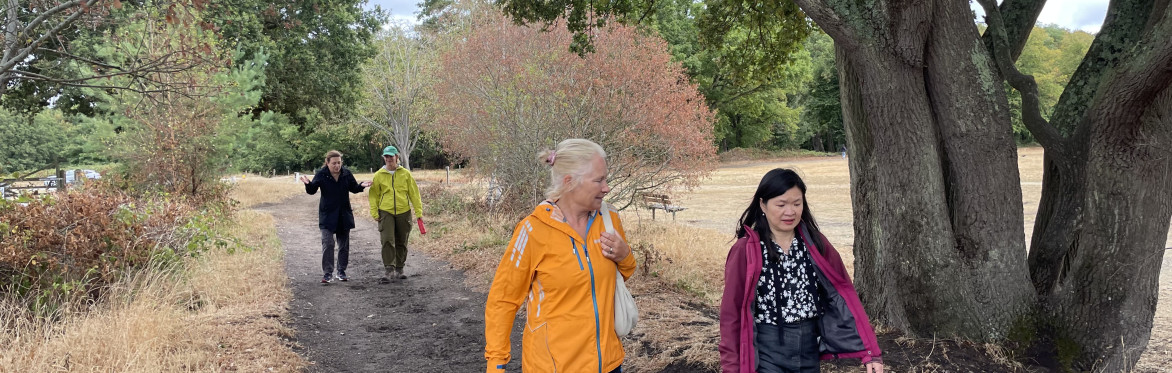 Elevate Netwalking Wimbledon Common Friday 18th September