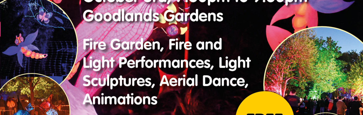 The poster shows a brightly coloured dragon fly, fire artist spinning fire, sculptures and aerial artist and trees are lit with ref, green blue lighting