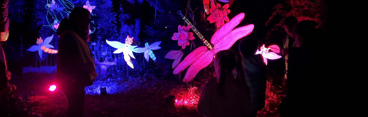 The poster shows a brightly coloured dragon fly, fire artist spinning fire, sculptures and aerial artist and trees are lit with ref, green blue lighting