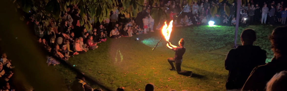 The poster shows a brightly coloured dragon fly, fire artist spinning fire, sculptures and aerial artist and trees are lit with ref, green blue lighting