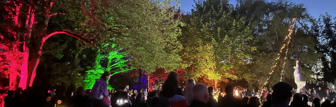 The poster shows a brightly coloured dragon fly, fire artist spinning fire, sculptures and aerial artist and trees are lit with ref, green blue lighting