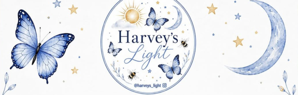 PAINT AND SIP FUNDRAISER - HARVEY'S LIGHT