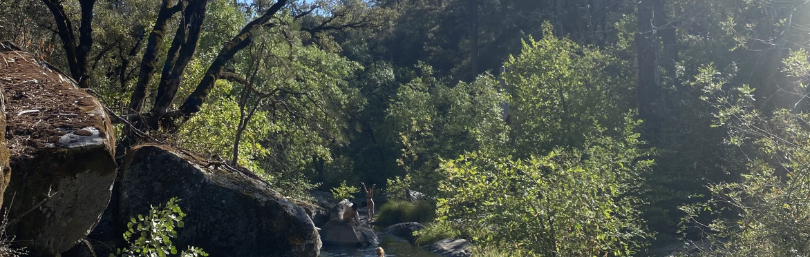 Contact Improvisation California Campout