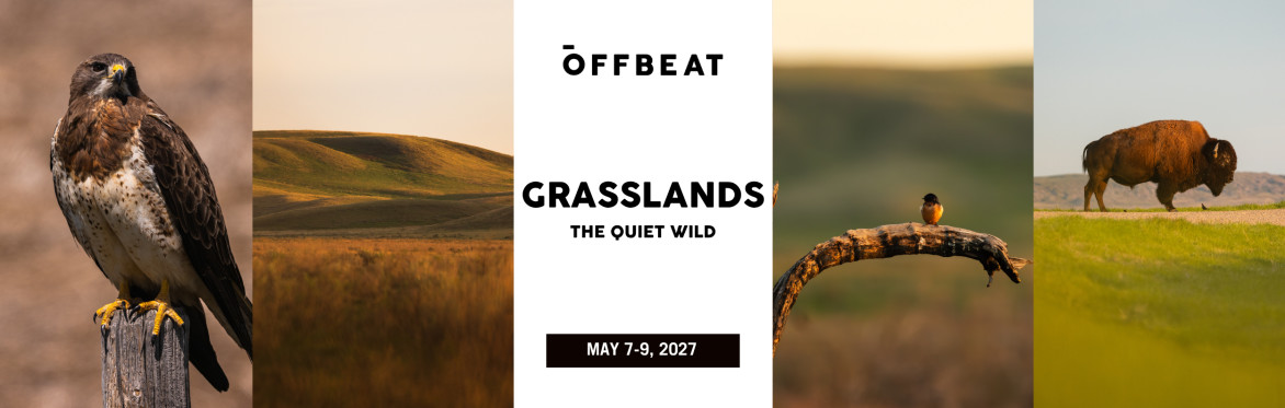 Grasslands: The Quiet Wild