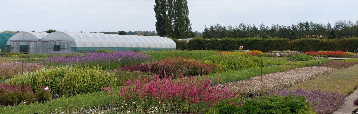 New Customer Introduction and Nursery Tour
