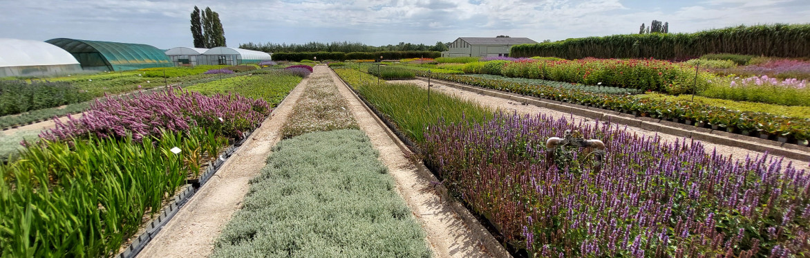 New Customer Introduction and Nursery Tour