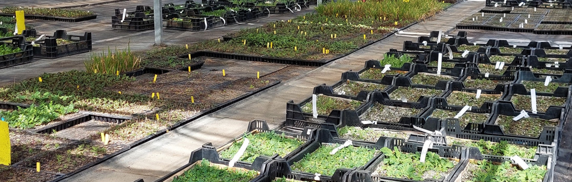 New Customer Introduction and Nursery Tour