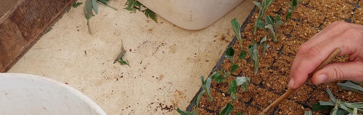 New Customer Introduction and Nursery Tour