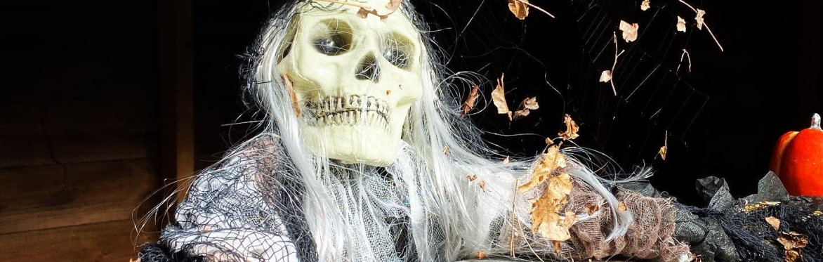 Halloween Activity - Billingford Nature Walks