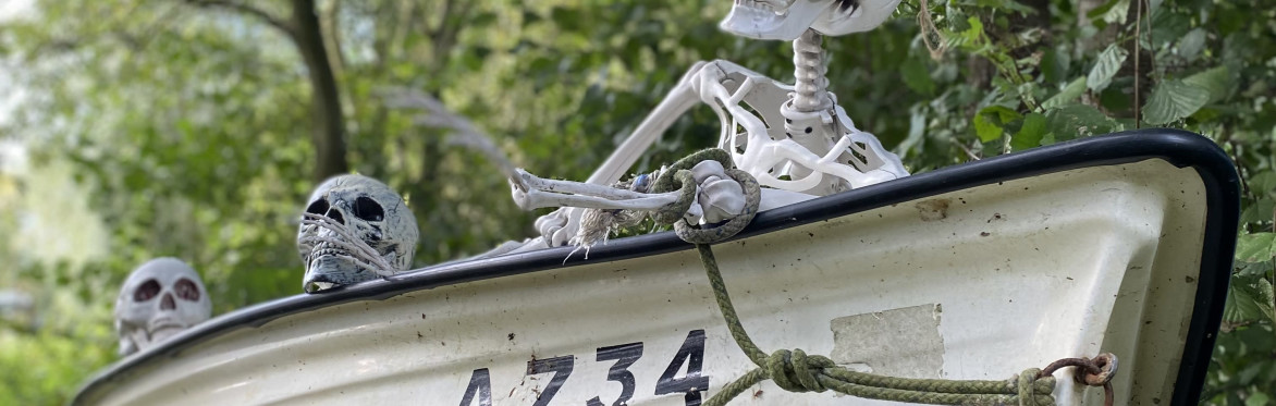 Halloween Activity - Billingford Nature Walks