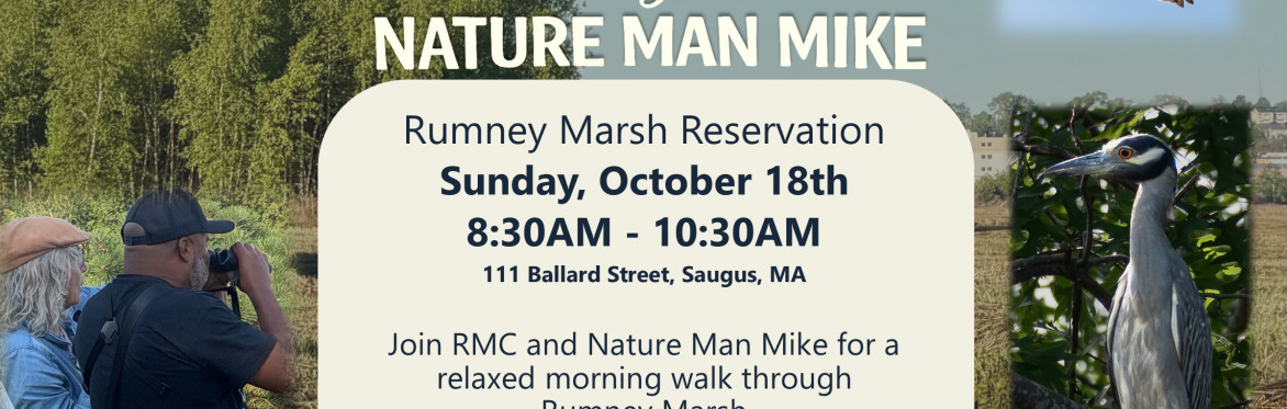 Birding with Nature Man Mike at Rumney Marsh - Oct 18th