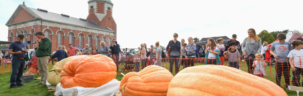 Pumpkins in the Park