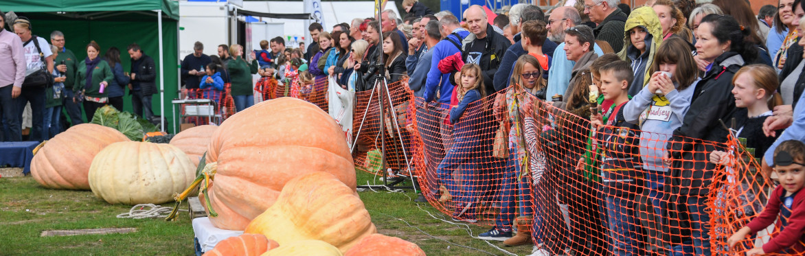 Pumpkins in the Park