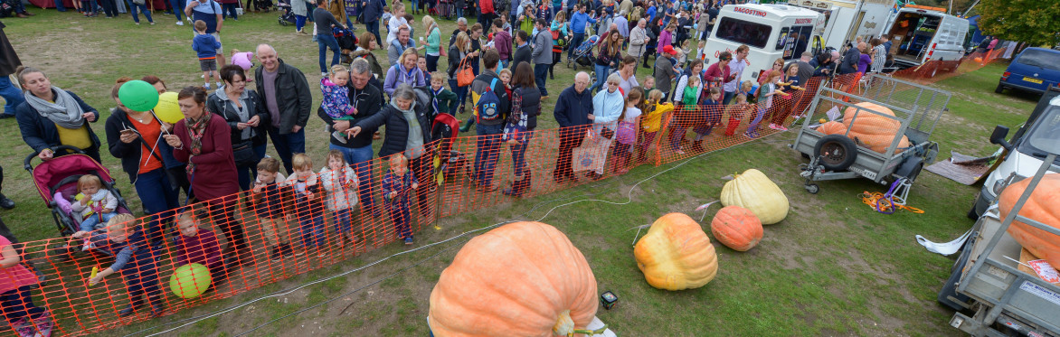 Pumpkins in the Park