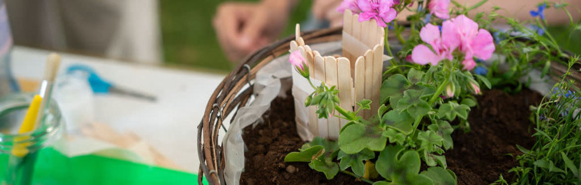 School for Creative Thinkers Half-Term Camp & Workshops
