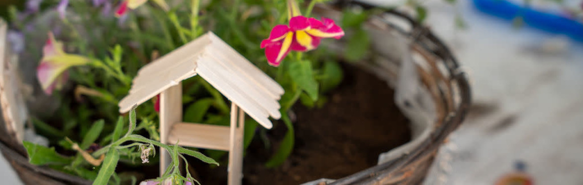 School for Creative Thinkers Half-Term Camp & Workshops