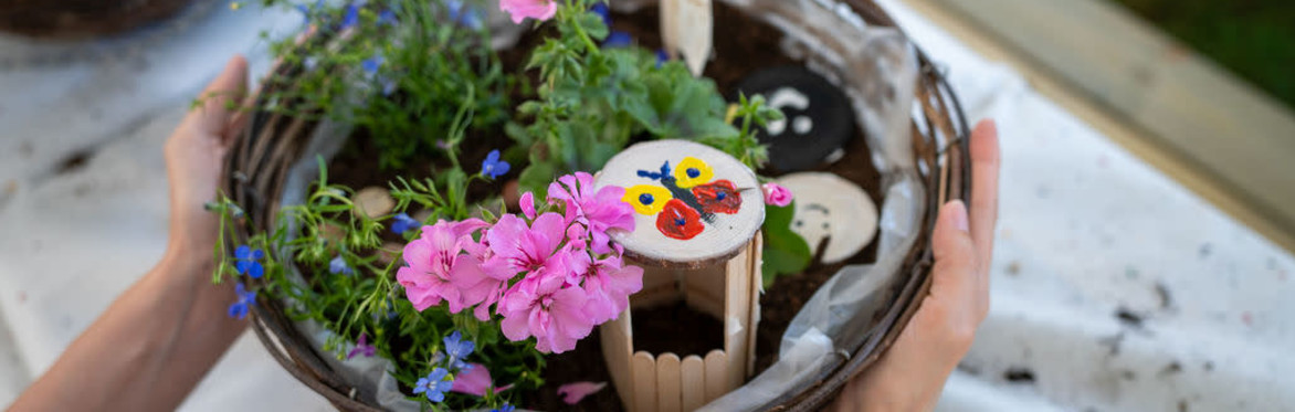 School for Creative Thinkers Half-Term Camp & Workshops