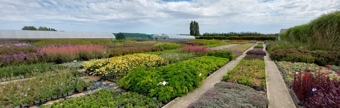 Walled Kitchen Gardens Network visit