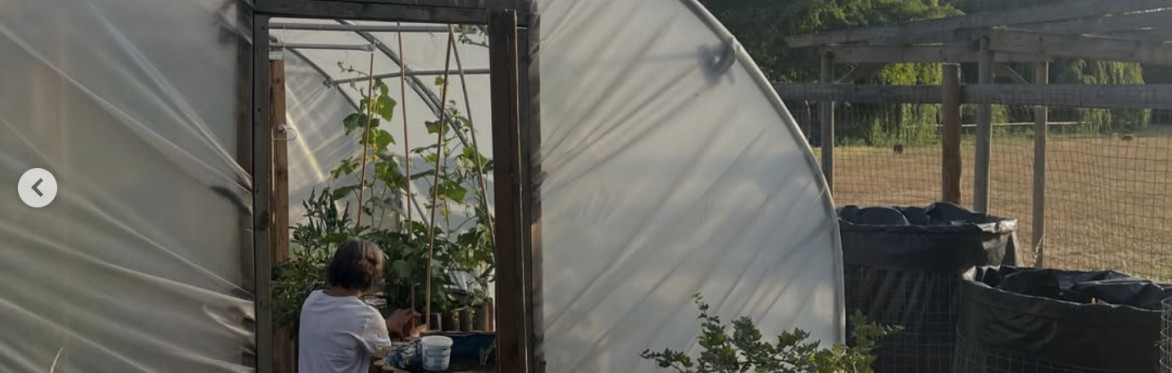 Right to Grow Tower Hamlets x Green Week: How to start a community food garden