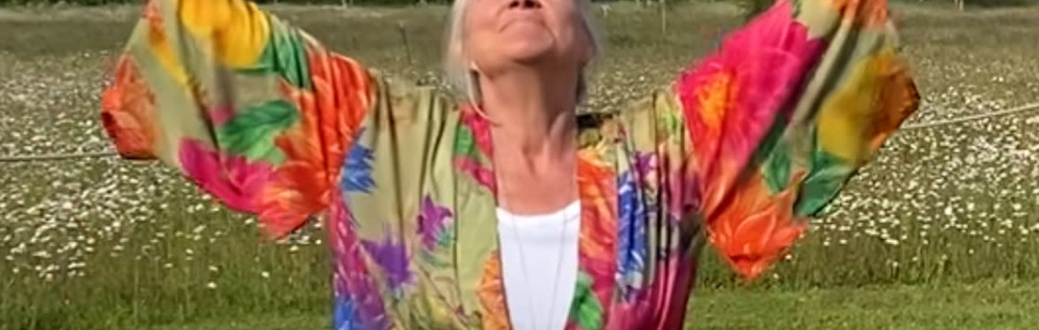 leaves falling on an autumn backgroud with title harvest inward, qigong and sound retreat