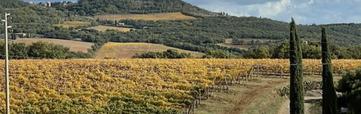 Tuscany wine discovery tour