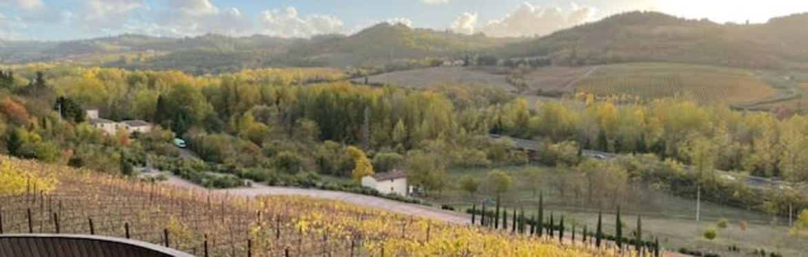 Tuscany wine discovery tour