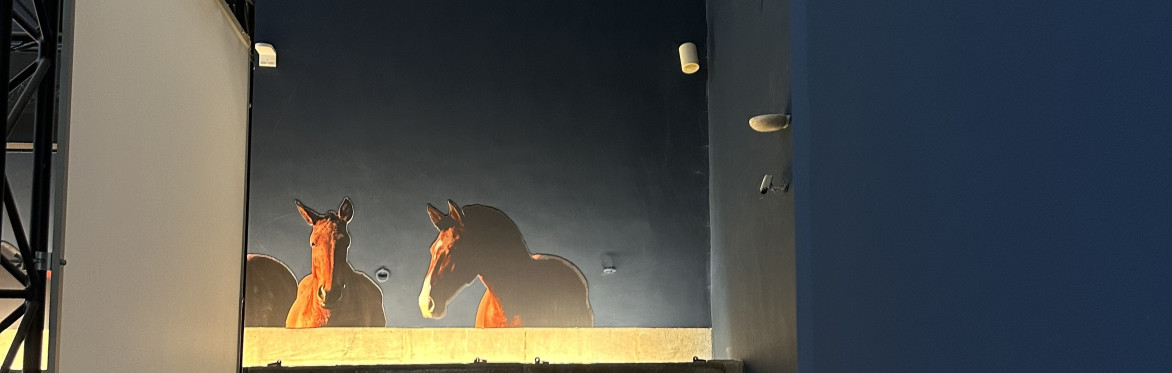 Prestigious Lusitano studfarm visiting