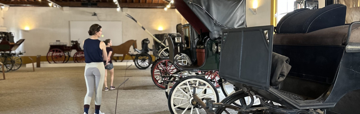 Prestigious Lusitano studfarm visiting