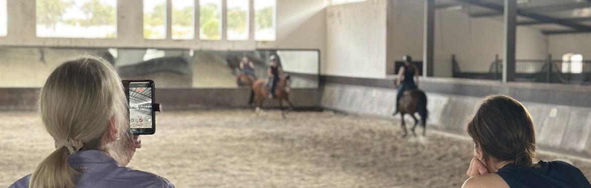 Prestigious Lusitano studfarm visiting