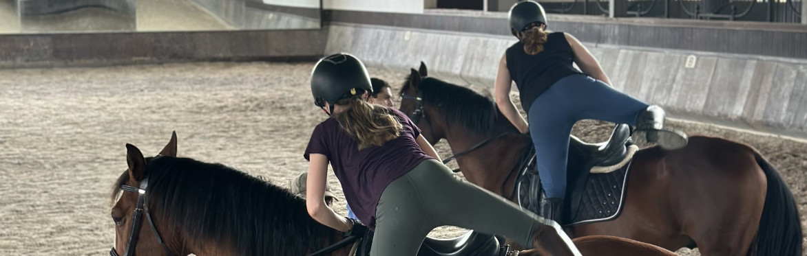 Prestigious Lusitano studfarm visiting
