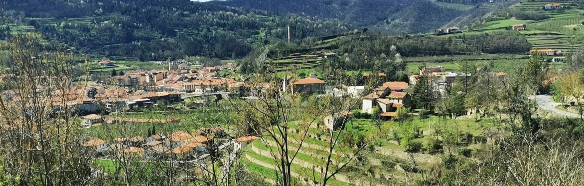 Panoramic view of the hills near Roccaverano