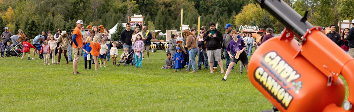 Festival Tickets 2026