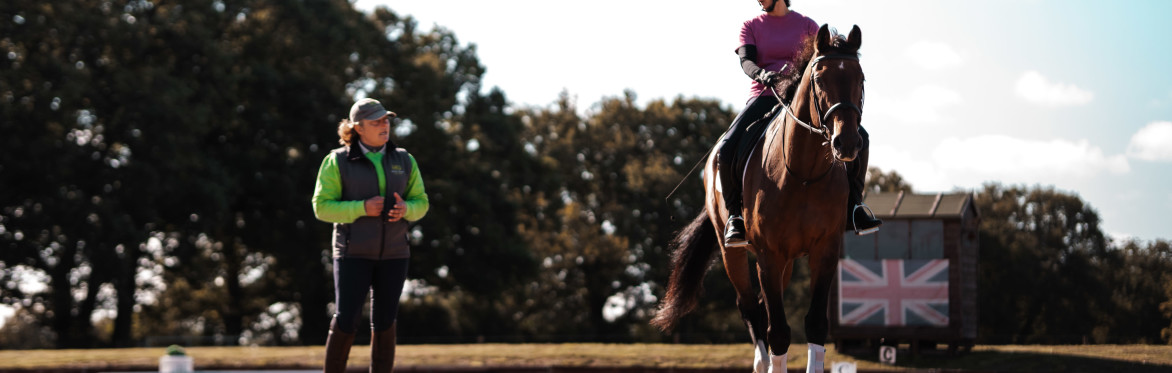 Client Engagement and Equine Welfare: Finding the Right Balance