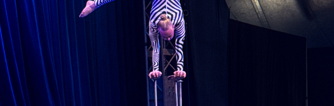 $99- SPE-ICELondon-Under the Big Top-The Business, Creativity and Performance of Cirque — What It Takes to Put on a Show