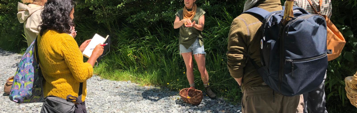 They Tried to Bury Us: Urban Forage with Jen and Samyel