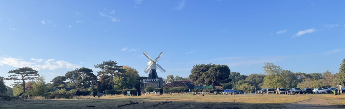 Elevate Netwalking Wimbledon Common with special guest